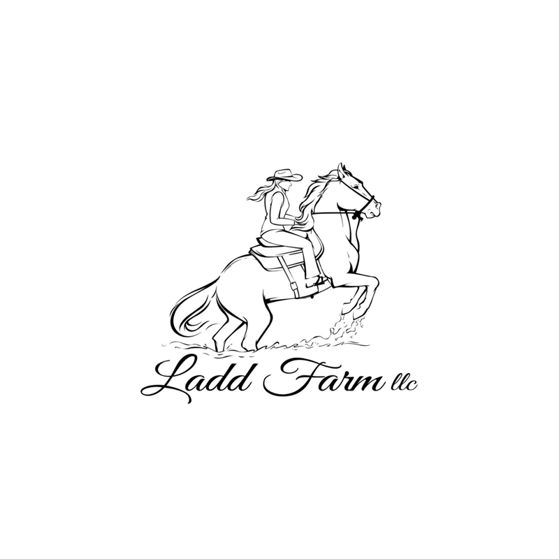 Hidden Battles at Ladd Farm, LLC